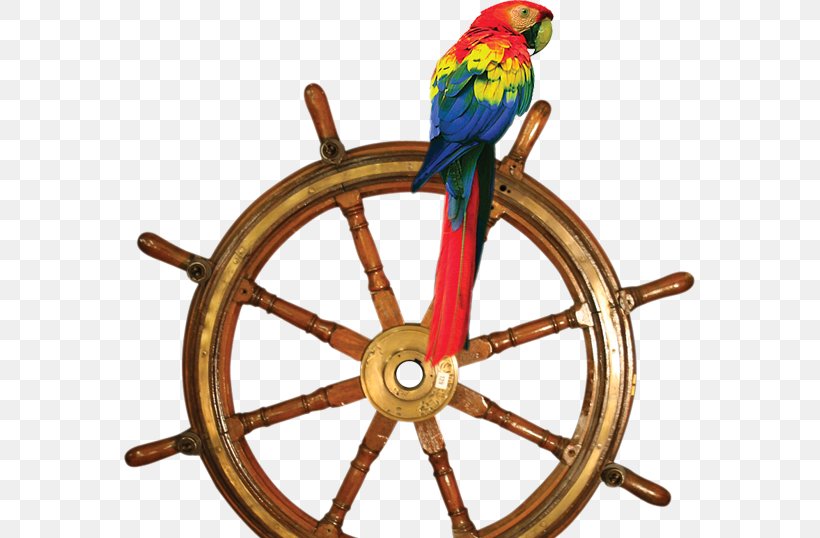 Ship's Wheel Boat Spoke, PNG, 571x538px, Ship, Beak, Bird, Boat, Brass Download Free