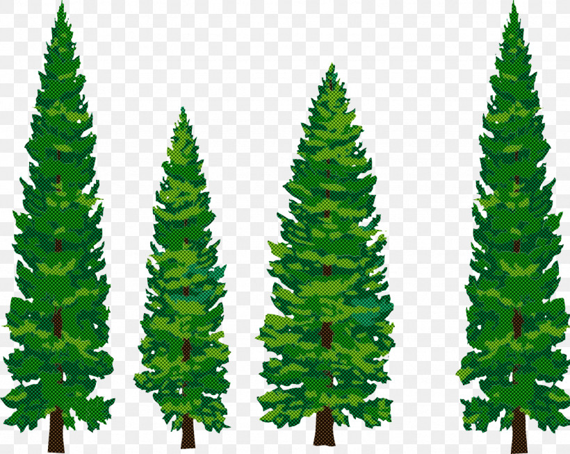 Shortleaf Black Spruce Balsam Fir Yellow Fir Oregon Pine Canadian Fir, PNG, 1331x1063px, Shortleaf Black Spruce, American Larch, Balsam Fir, Biome, Canadian Fir Download Free