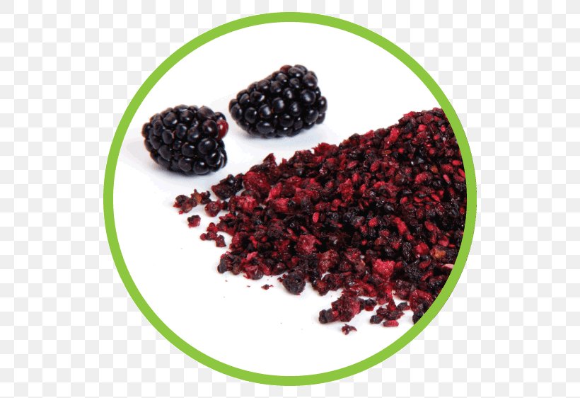 Zante Currant Boysenberry Dried Fruit Blackberry, PNG, 562x562px, Zante Currant, Auglis, Berry, Blackberry, Blackcurrant Download Free