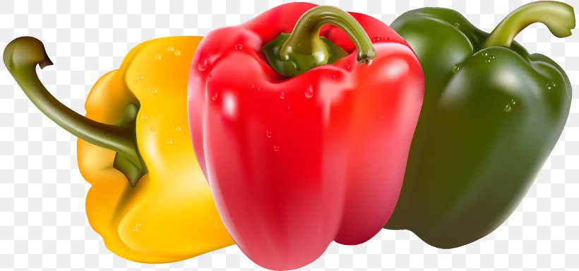 Bell Pepper Juice Vegetable Piquillo Pepper Chili Pepper, PNG, 812x384px, Bell Pepper, Bell Peppers And Chili Peppers, Black Pepper, Capsicum, Capsicum Annuum Download Free