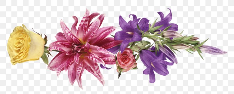 Flower Bouquet Tulip Foret De Vizzavone Blossom, PNG, 800x329px, Flower, Blossom, Child, Cut Flowers, Flower Bouquet Download Free