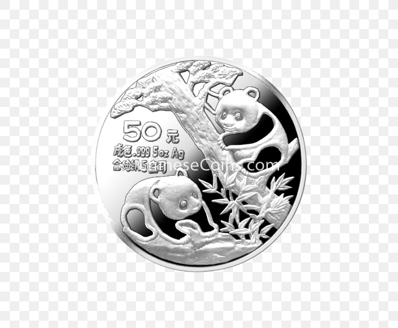 Silver Body Jewellery Coin Barnes & Noble Font, PNG, 675x675px, Silver, Barnes Noble, Body Jewellery, Body Jewelry, Button Download Free