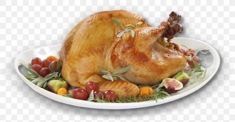 Turkey Meat Brining Roasting Thanksgiving Cooking, PNG, 863x449px, Turkey Meat, Animal Source Foods, Brining, Chicken As Food, Chicken Meat Download Free