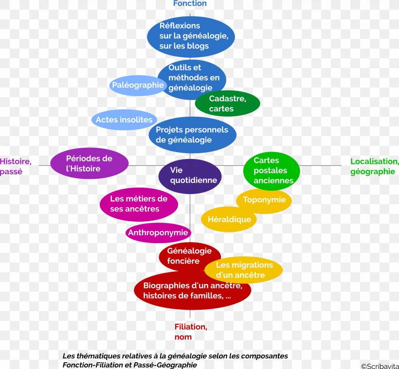 Genealogy Filiation Family Tree History, PNG, 2954x2735px, Genealogy, Area, Blog, Brand, Diagram Download Free