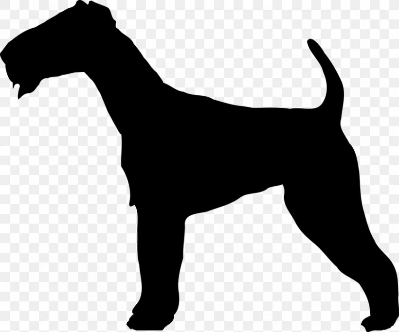 Irish Terrier Soft-coated Wheaten Terrier Airedale Terrier Welsh Terrier Border Terrier, PNG, 864x720px, Irish Terrier, Airedale Terrier, Black And White, Border Terrier, Breed Download Free