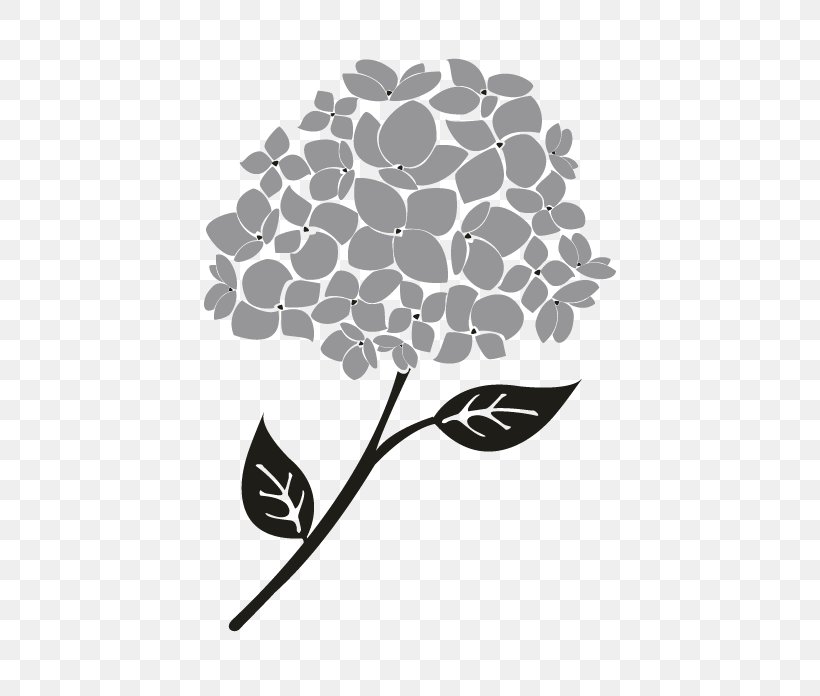 Leaf Tree, PNG, 696x696px, Leaf, Black, Black And White, Black M, Branch Download Free
