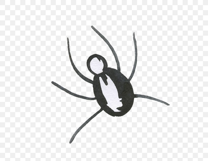 Spider Web Halloween, PNG, 700x632px, Spider, Black And White, Creative Work, Designer, Festival Download Free