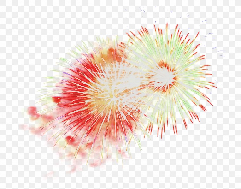 Explosive Desktop Wallpaper Material Computer Pollen, PNG, 1525x1195px, Explosive, Computer, Event, Fireworks, Holiday Download Free