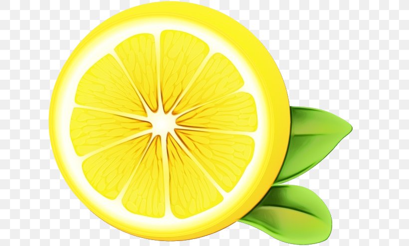 Lemon Citrus Yellow Green Lime, PNG, 640x494px, Watercolor, Citrus, Fruit, Green, Leaf Download Free