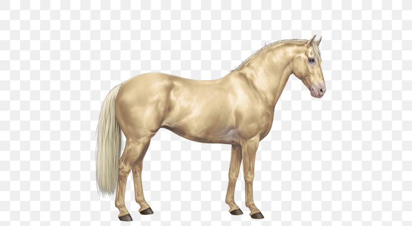 Mane Mustang American Paint Horse Arabian Horse Mare, PNG, 600x450px, Mane, American Paint Horse, Animal Figure, Arabian Horse, Buckskin Download Free