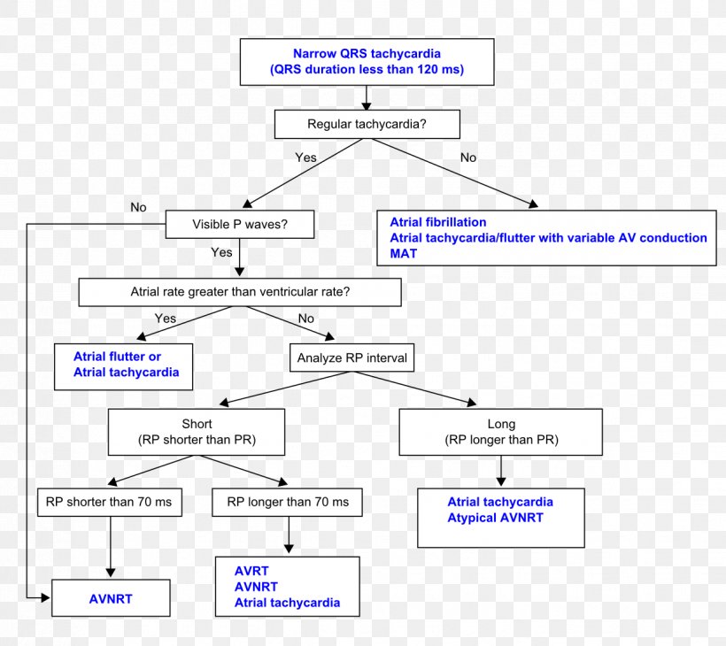 Nursing College School Nursing Medicine, PNG, 1236x1101px, Nursing College, Area, Atrial Fibrillation, Atrial Flutter, Atrium Download Free