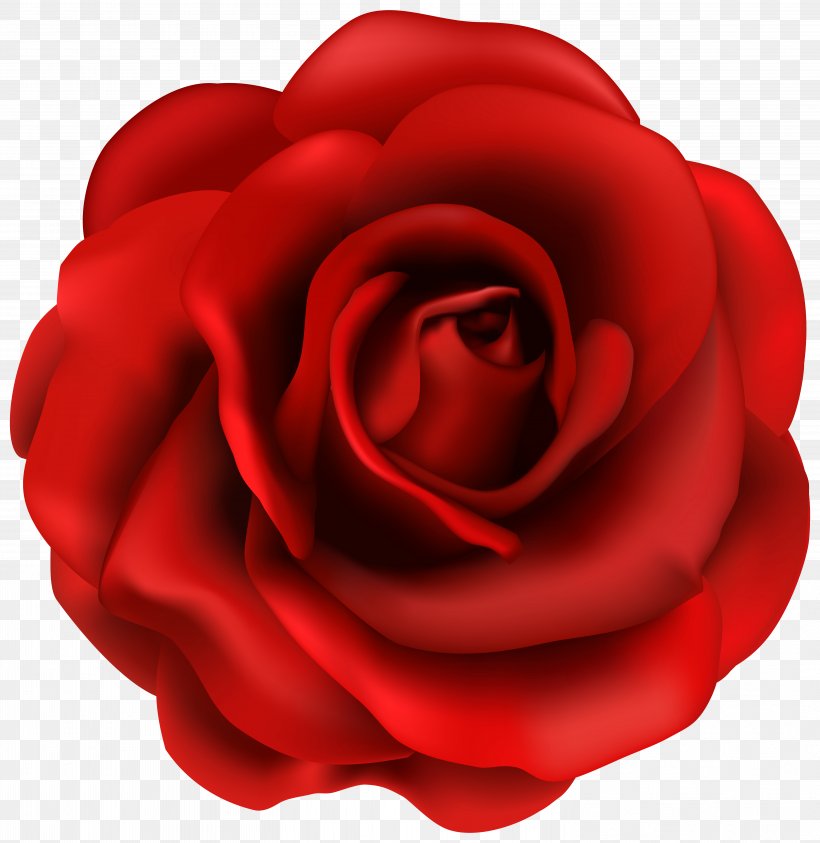 Rose Flower Clip Art, PNG, 5898x6068px, Red, Blog, Close Up, Floribunda, Flower Download Free