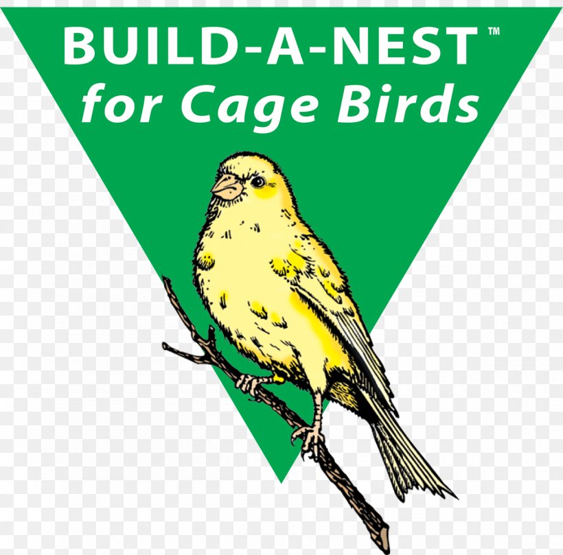 Bird Nest Parrot Parakeet Macaw, PNG, 1200x1185px, Bird, Advertising, Animal, Beak, Bird Nest Download Free
