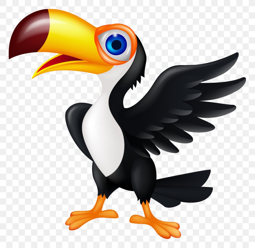 Bird Toucan Animation Clip Art, PNG, 800x800px, Bird, Animation, Beak, Bird Of Prey, Cartoon Download Free