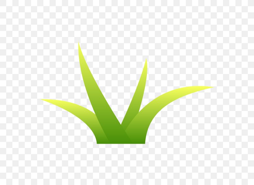 Grass Illustration Weed Vector Graphics, PNG, 600x600px, Grass, Aloe, Data, Fenaison, Grass Family Download Free
