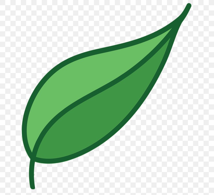Little Leaf Of Brinjal Reiki Plant Stem Spirituality, PNG, 748x748px, Leaf, Disease, Eggplant, Energy, Force Download Free