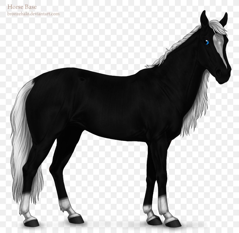 Mane Stallion Mustang Mare Pony, PNG, 800x800px, Mane, Art, Black And White, Bridle, Colt Download Free