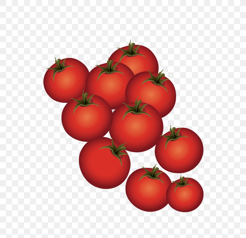 Plum Tomato Bush Tomato, PNG, 612x792px, Plum Tomato, Apple, Bush Tomato, Diet Food, Food Download Free
