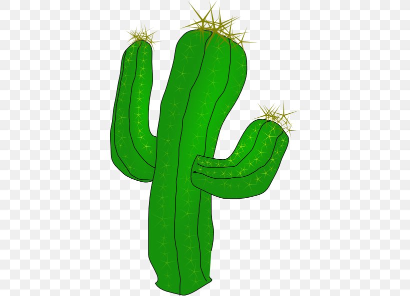 Cactaceae Saguaro RTM RANCH Clip Art, PNG, 593x593px, Cactaceae, Cactus, Caryophyllales, Cylindropuntia, Flowering Plant Download Free