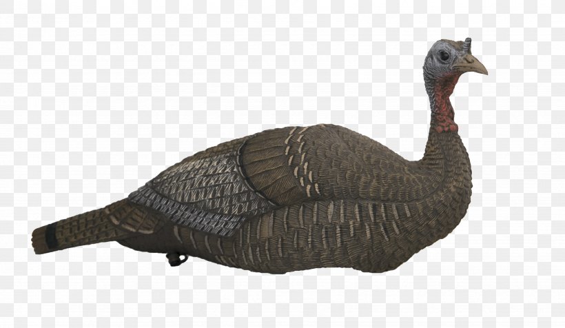 Goose Duck Turkey Decoy Galliformes, PNG, 3476x2019px, Goose, Animal, Animal Figure, Beak, Bird Download Free