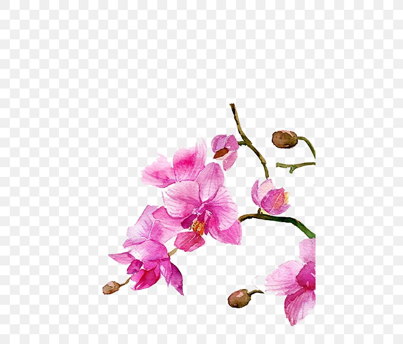 Watercolour Flowers Watercolor Painting Drawing, PNG, 464x700px, Watercolour Flowers, Blossom, Botanical Illustration, Branch, Cherry Blossom Download Free