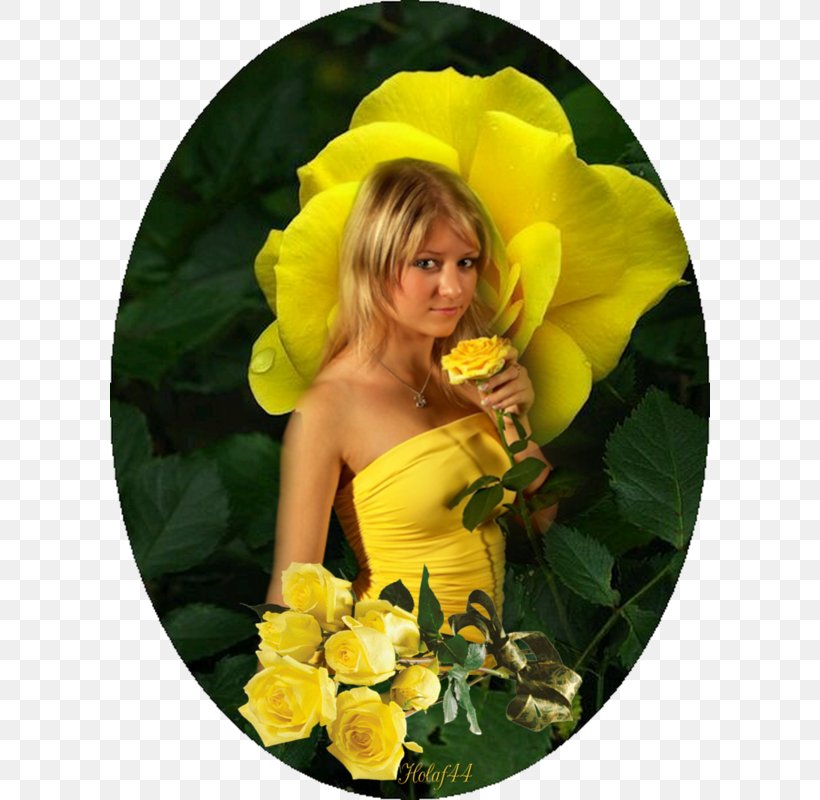 Yellow Garden Roses Friendship Color, PNG, 600x800px, Yellow, Color, Flower, Flowering Plant, Friendship Download Free