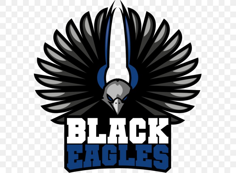 Black Eagles Aerobatic Team Logo Golden Eagle, PNG, 600x600px, Eagle, Black Eagle, Black Eagles Aerobatic Team, Brand, Emblem Download Free