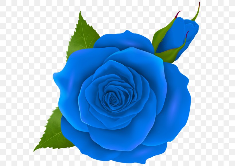 Blue Rose Flower Clip Art, PNG, 600x579px, Rose, Blue, Blue Rose, Bud, Cobalt Blue Download Free