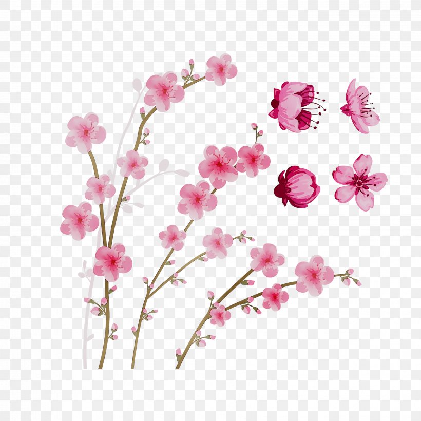 Moth Orchids Cut Flowers Floral Design, PNG, 3445x3445px, Moth Orchids, Artificial Flower, Blossom, Branch, Cherry Blossom Download Free