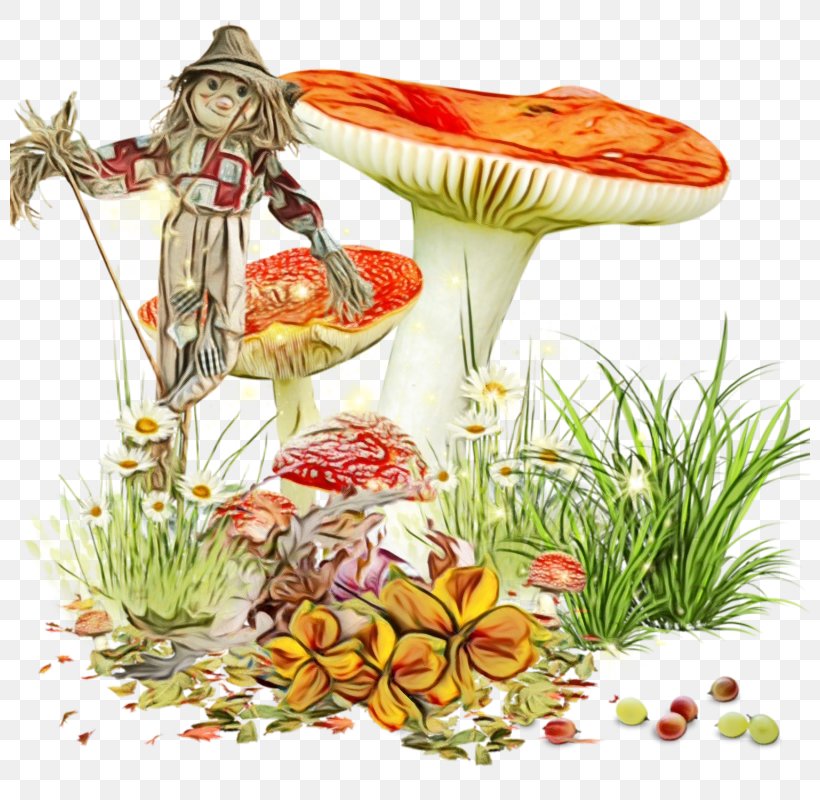 Watercolor Flower Background, PNG, 800x800px, Watercolor, Agaric, Anthurium, Carnivorous Plant, Commodity Download Free