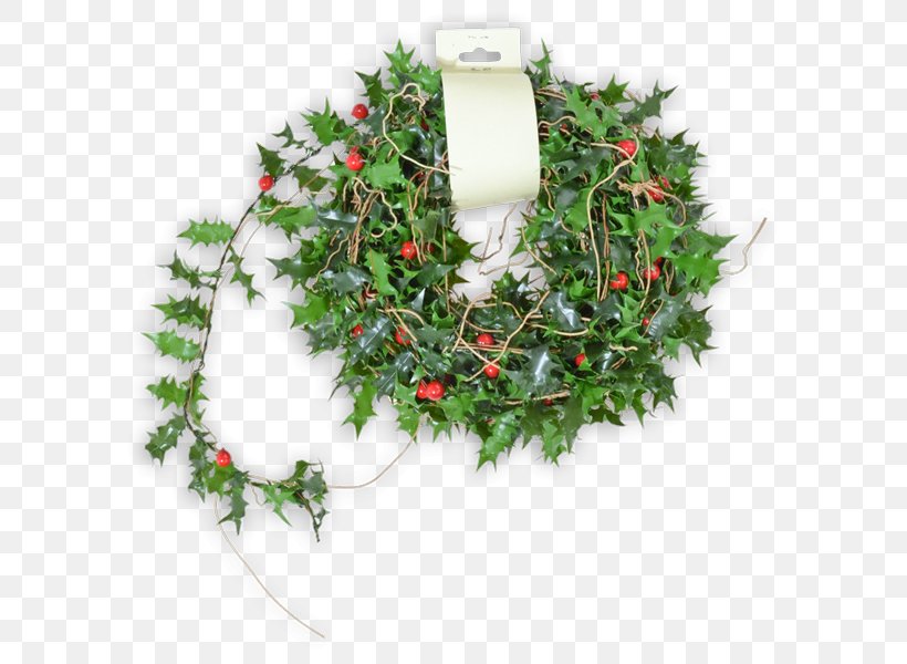 Wreath Twig Christmas Ornament Aquifoliales, PNG, 600x600px, Wreath, Aquifoliaceae, Aquifoliales, Christmas, Christmas Decoration Download Free