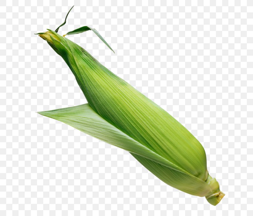 Corn On The Cob Sweet Corn Popcorn Flint Corn, PNG, 690x699px, Corn On The Cob, Cereal, Commodity, Corncob, Ear Download Free