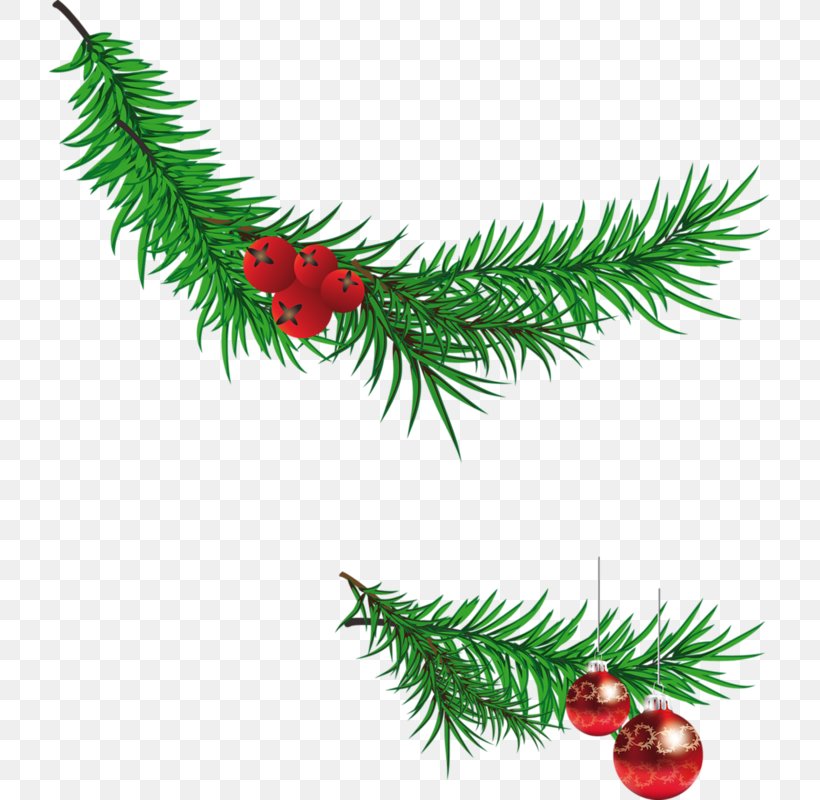 Santa Claus Christmas Tree Branch Clip Art, PNG, 721x800px, Santa Claus, Branch, Christmas, Christmas Decoration, Christmas Ornament Download Free