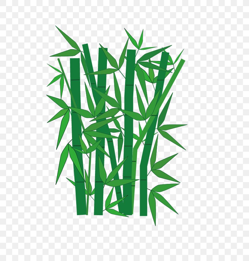 Bamboo Clip Art, PNG, 613x860px, Bamboo, Area, Commodity, Computer, Document Download Free