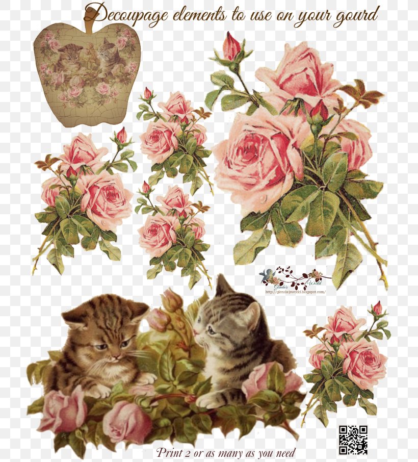 Cabbage Rose Garden Roses Paper Decoupage Pink, PNG, 725x906px, Cabbage Rose, Antique, Art, Cat, Collage Download Free