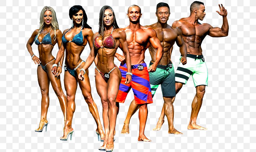 Fitness And Figure Competition Salt Lake City International Federation Of BodyBuilding & Fitness 2015 Mr. Olympia National Physique Committee, PNG, 654x489px, Fitness And Figure Competition, Abdomen, Bodybuilder, Bodybuilding, City Download Free