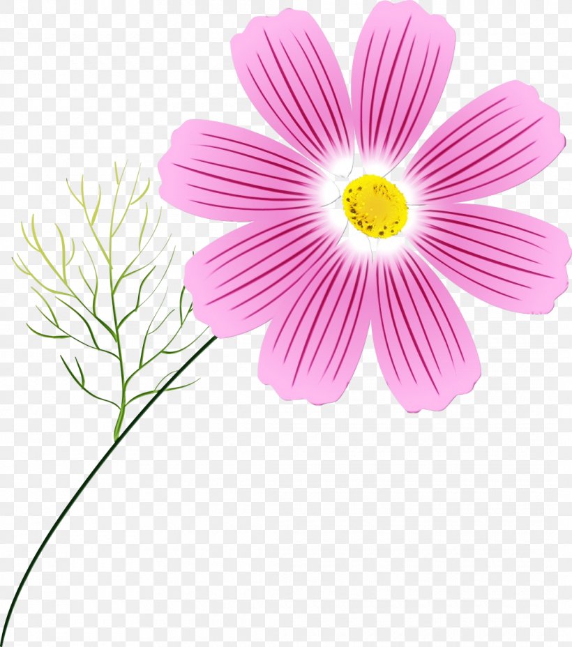 Flower Flowering Plant Petal Plant Barberton Daisy, PNG, 1060x1200px, Watercolor, Barberton Daisy, Cosmos, Daisy Family, Flower Download Free