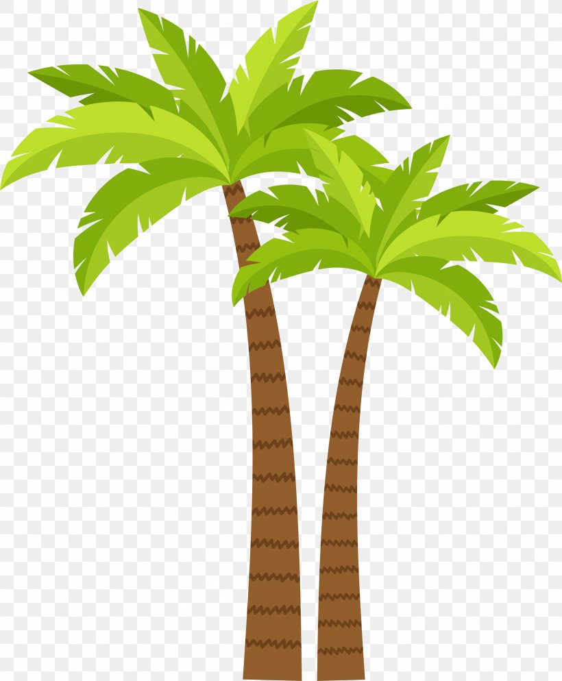 Arecaceae Coconut Tree, PNG, 3001x3638px, Arecaceae, Arecales, Cartoon,  Coconut, Flowerpot Download Free