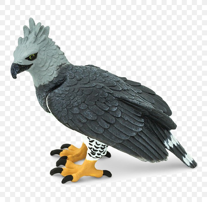 Harpy Eagle Safari Ltd Bald Eagle Bird, PNG, 800x800px, Harpy Eagle, Animal, Animal Figure, Apex Predator, Bald Eagle Download Free