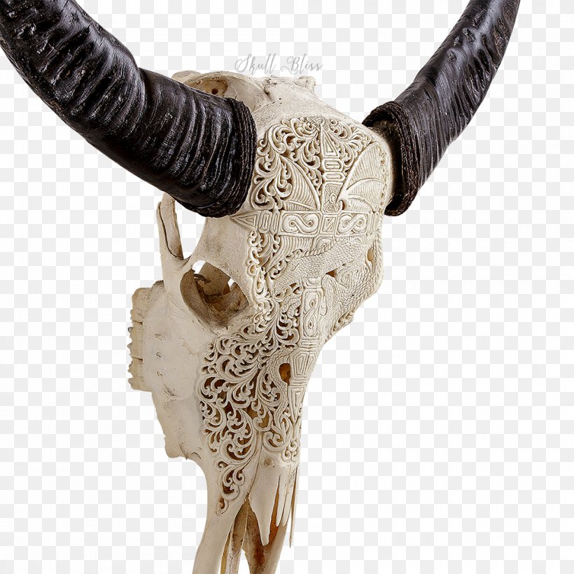 Horn Animal Skulls Antler Bone, PNG, 1000x1000px, Horn, African Elephant, Animal, Animal Product, Animal Skulls Download Free