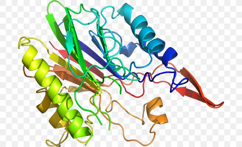 Acute-phase Protein Bioinformatics DNA Protein Structure, PNG, 698x500px, Protein, Acutephase Protein, Artwork, Bioinformatics, Blast Download Free