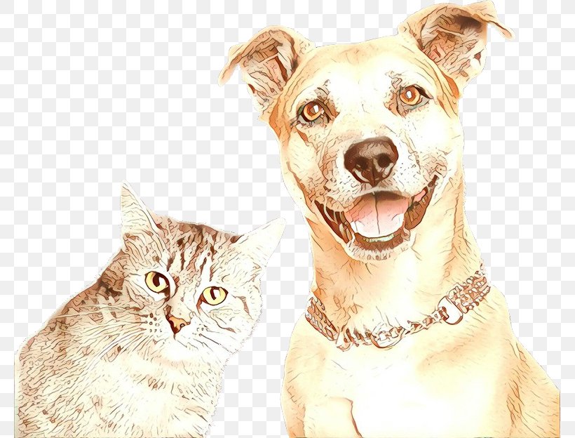 Cat And Dog Cartoon, PNG, 779x624px, Cartoon, Ancient Dog Breeds, Animal, Cat, Cattery Download Free