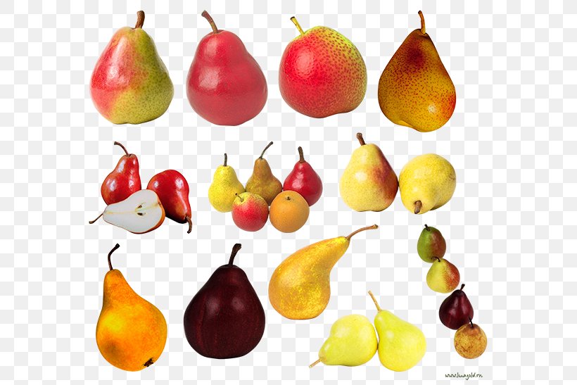 European Pear Fruit Food Amygdaloideae, PNG, 600x547px, European Pear, Accessory Fruit, Amygdaloideae, Food, Fruit Download Free