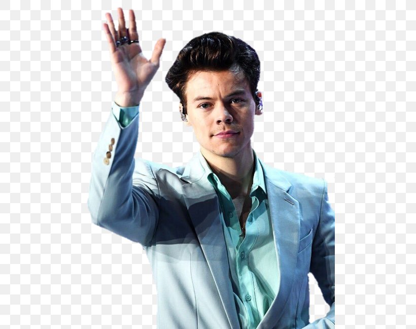 Harry Styles: Live On Tour Victoria's Secret Fashion Show 2017 One Direction, PNG, 500x648px, Watercolor, Cartoon, Flower, Frame, Heart Download Free