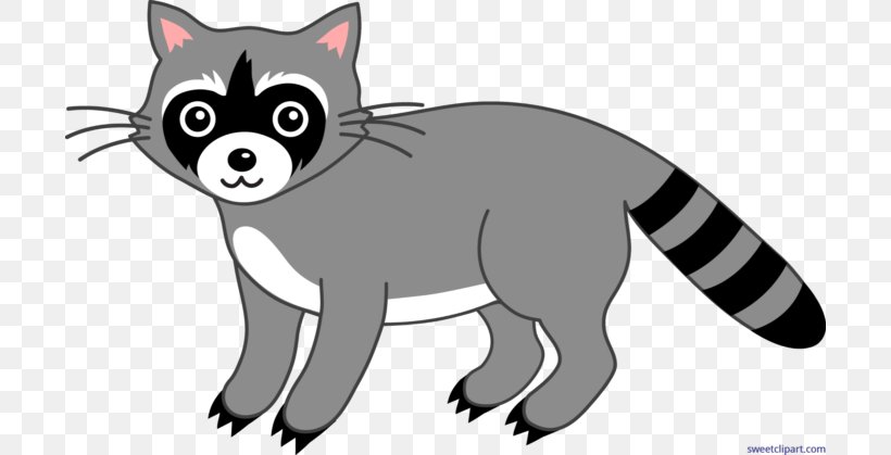 Raccoon Giant Panda Clip Art, PNG, 700x419px, Raccoon, Animal Figure, Bear, Black, Black And White Download Free