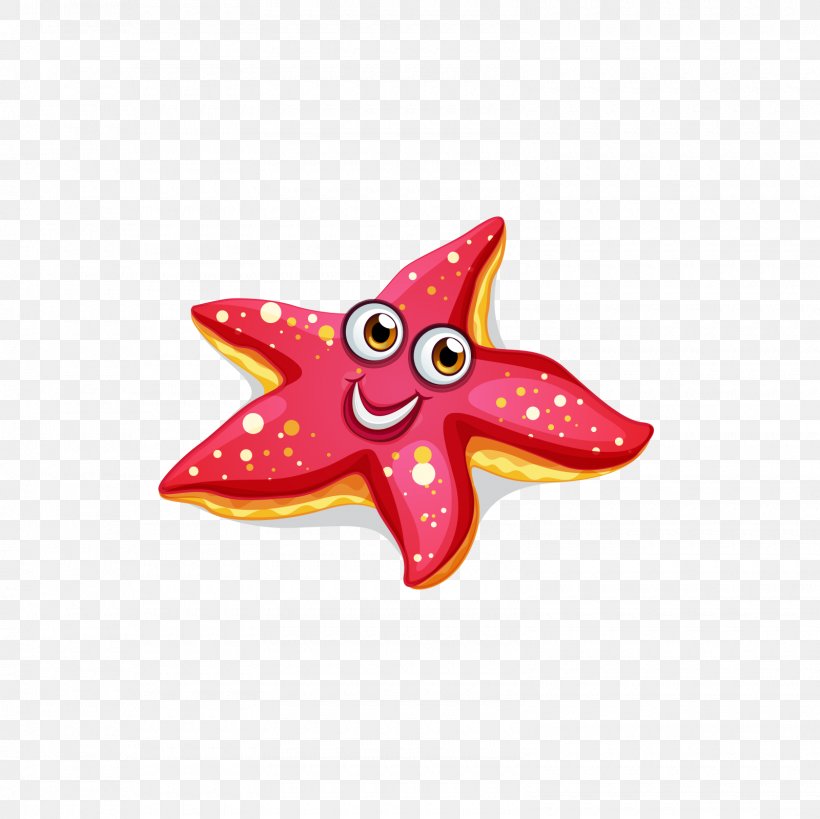 Starfish Cartoon Clip Art, PNG, 1600x1600px, Starfish, Cartoon, Drawing, Echinoderm, Invertebrate Download Free
