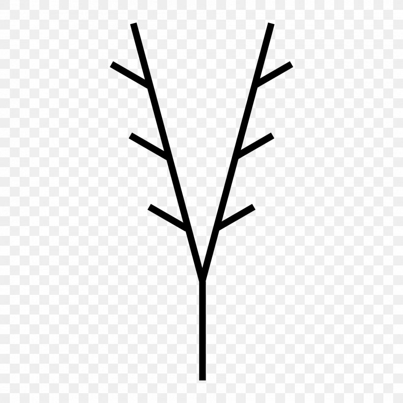 Twig Line Plant Stem Leaf Angle, PNG, 1800x1800px, Twig, Black And White, Branch, Family, Grass Family Download Free