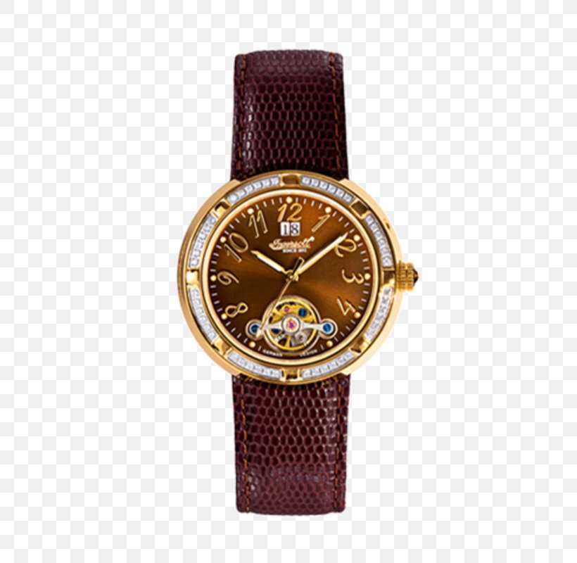 Watch Strap Metal, PNG, 566x800px, Watch, Brand, Brown, Clothing Accessories, Metal Download Free