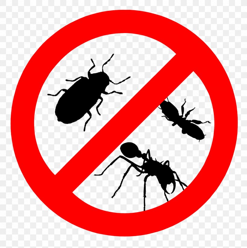Cockroach Pest Control Bed Bug Termite, PNG, 1275x1283px, Cockroach, Area, Artwork, Bed Bug, Bee Removal Download Free