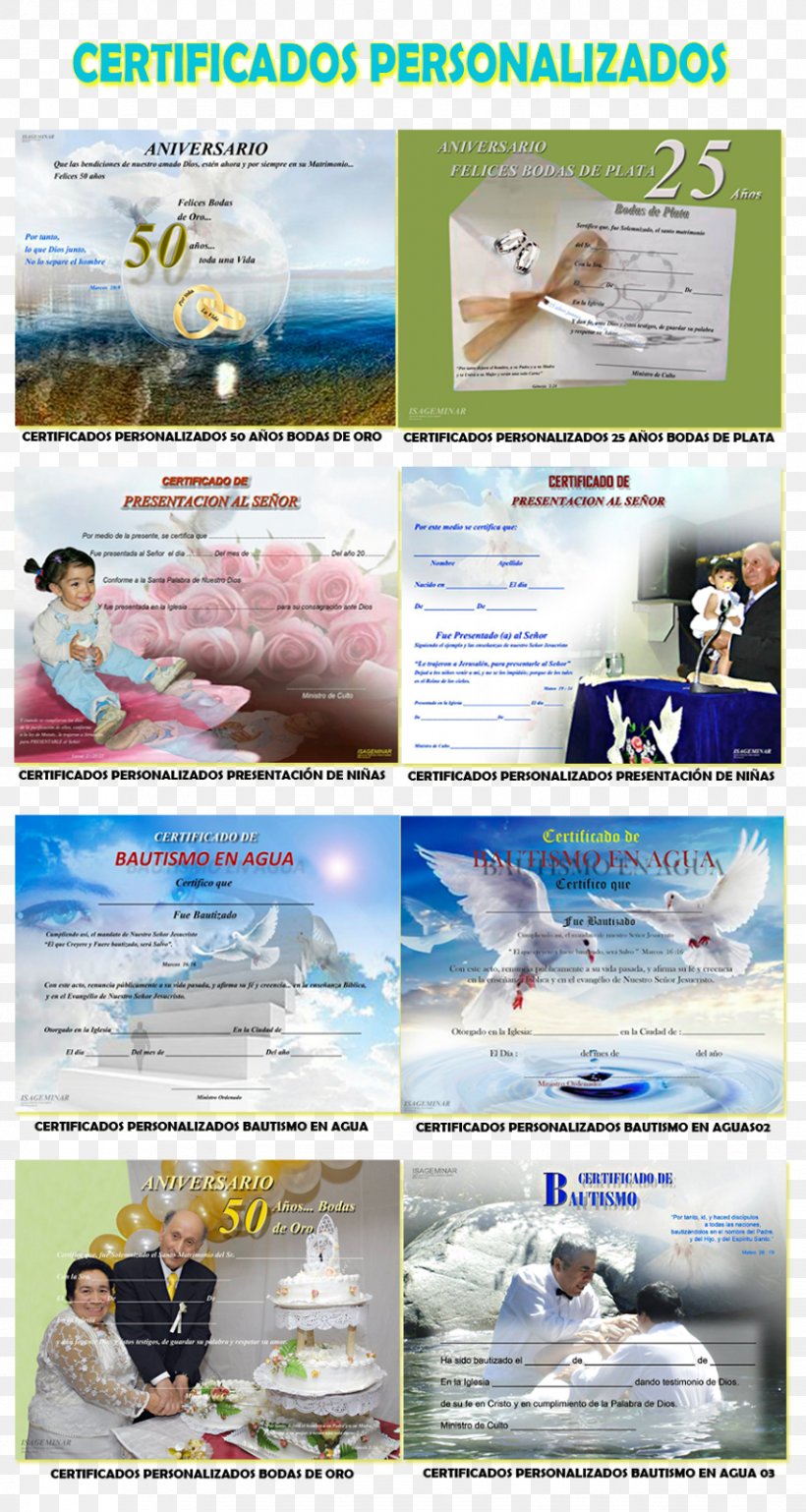 Web Page Certificado Digital Text Diploma Akademický Certifikát, PNG, 853x1600px, 2016, Web Page, Advertising, Brochure, Certificado Digital Download Free